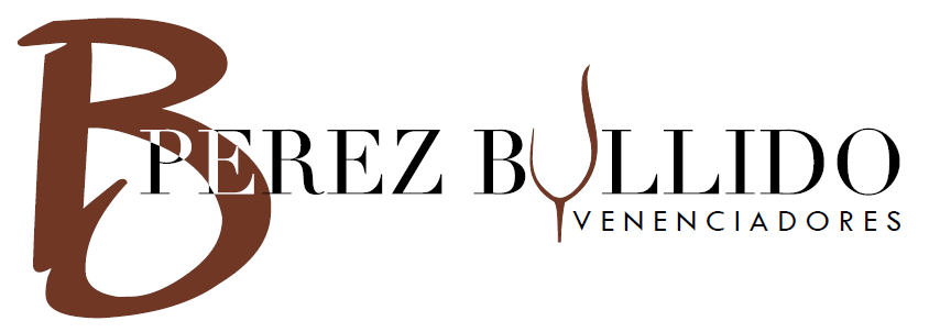 BEATRIZ PEREZ BULLIDO